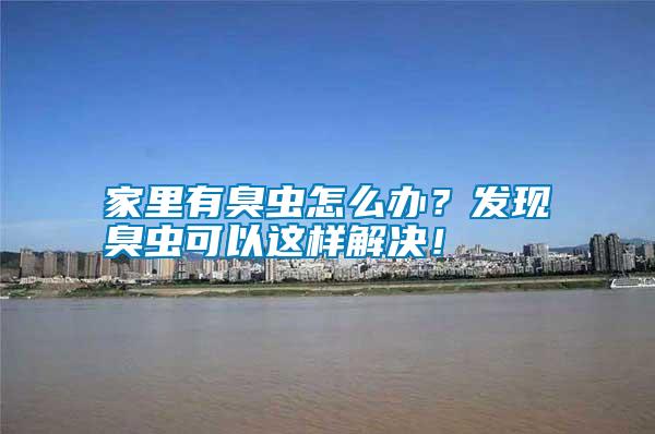 家里有臭蟲(chóng)怎么辦?發(fā)現(xiàn)臭蟲(chóng)可以這樣解決!