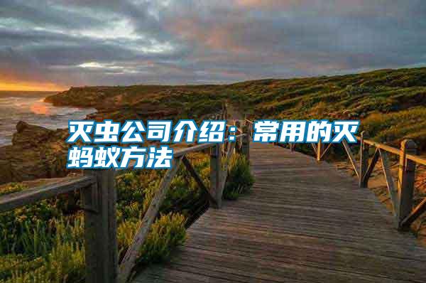 滅蟲(chóng)公司介紹:常用的滅螞蟻方法