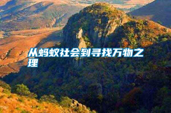 從螞蟻社會(huì)到尋找萬(wàn)物之理