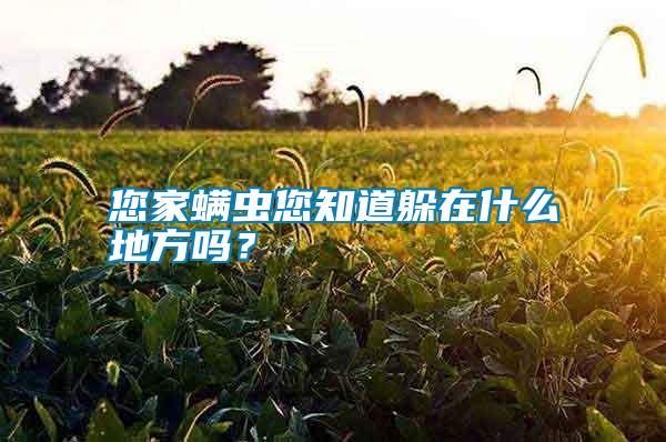 您家螨蟲您知道躲在什么地方嗎?