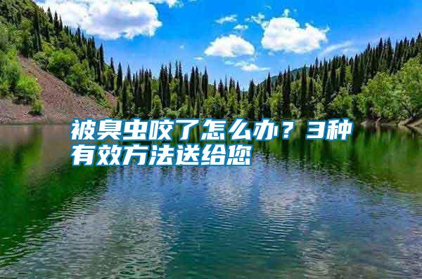 被臭蟲咬了怎么辦？3種有效方法送給您