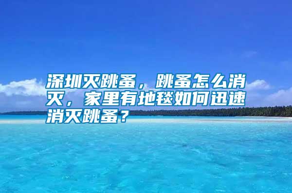 深圳滅跳蚤，跳蚤怎么消滅，家里有地毯如何迅速消滅跳蚤？