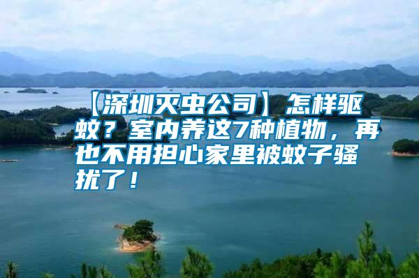 【深圳滅蟲公司】怎樣驅蚊？室內養這7種植物，再也不用擔心家里被蚊子騷擾了！