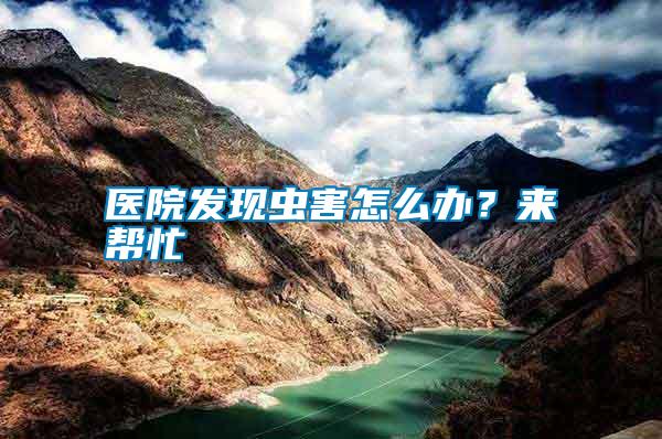 醫院發現蟲害怎么辦?來幫忙