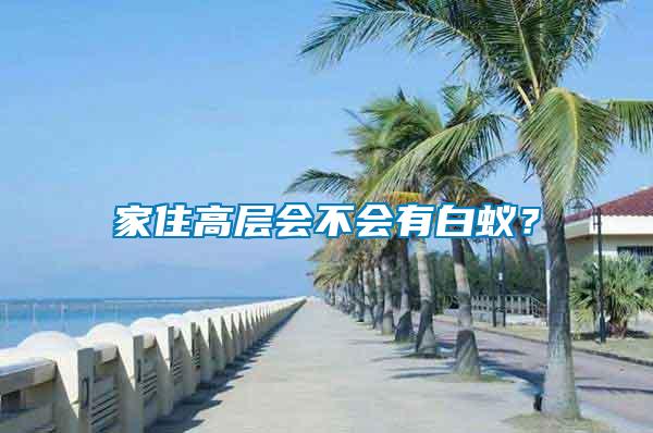 家住高層會不會有白蟻?