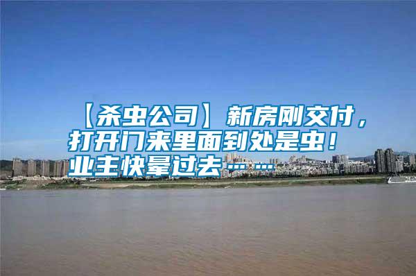 【殺蟲公司】新房剛交付，打開門來里面到處是蟲！業主快暈過去……