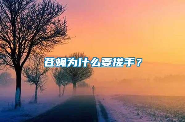 蒼蠅為什么要搓手?