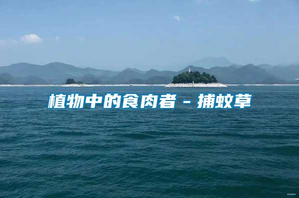 植物中的食肉者-捕蚊草