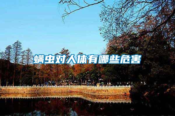 螨蟲對(duì)人體有哪些危害