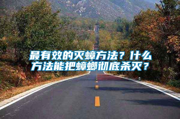 最有效的滅蟑方法？什么方法能把蟑螂徹底殺滅？