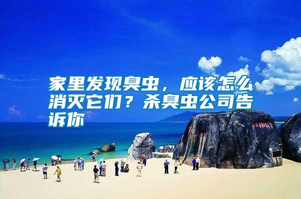 家里發(fā)現(xiàn)臭蟲，應(yīng)該怎么消滅它們？殺臭蟲公司告訴你