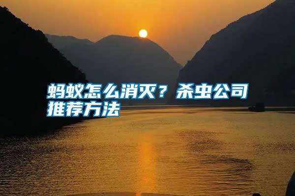 螞蟻怎么消滅?殺蟲(chóng)公司推薦方法