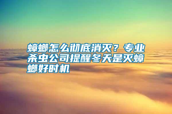 蟑螂怎么徹底消滅?專業(yè)殺蟲公司提醒冬天是滅蟑螂好時機