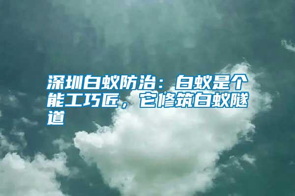 深圳白蟻防治:白蟻是個能工巧匠,它修筑白蟻隧道