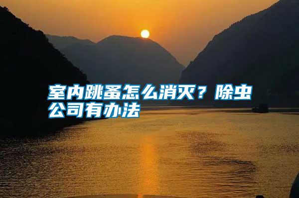 室內跳蚤怎么消滅？除蟲公司有辦法