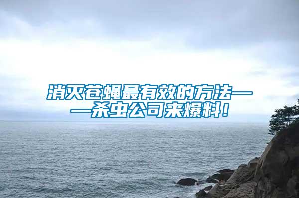 消滅蒼蠅最有效的方法——?dú)⑾x公司來爆料!