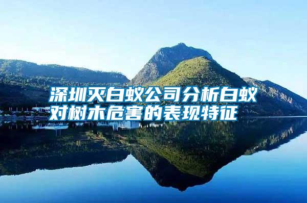 深圳滅白蟻公司分析白蟻對樹木危害的表現特征