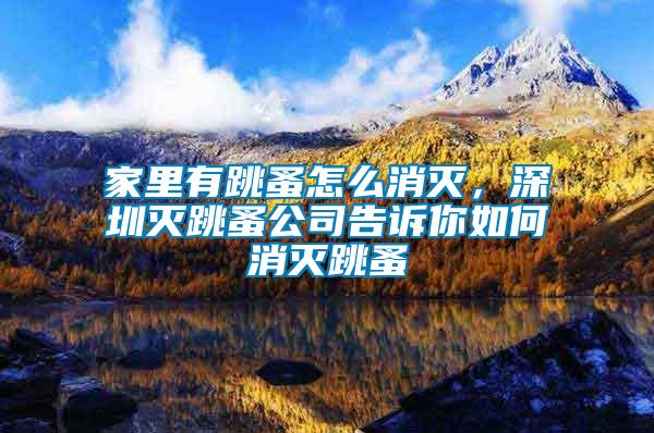 家里有跳蚤怎么消滅,深圳滅跳蚤公司告訴你如何消滅跳蚤