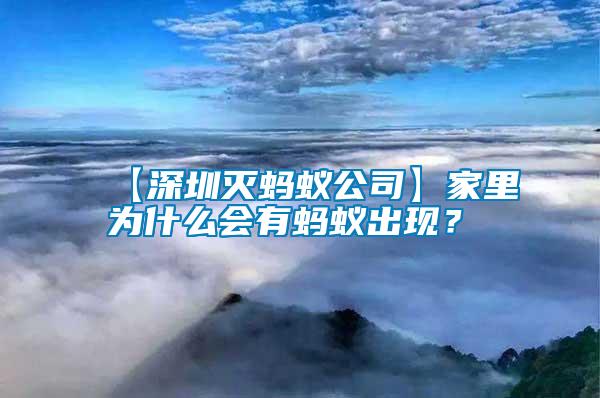 【深圳滅螞蟻公司】家里為什么會有螞蟻出現?