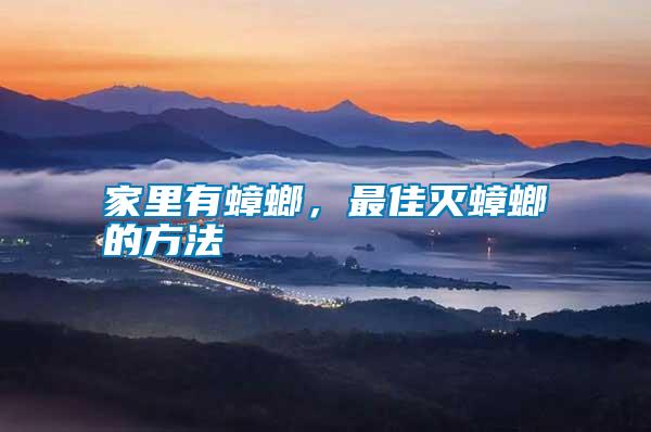 家里有蟑螂，最佳滅蟑螂的方法