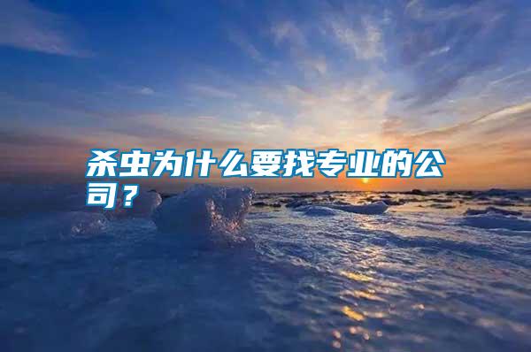 殺蟲為什么要找專業的公司？