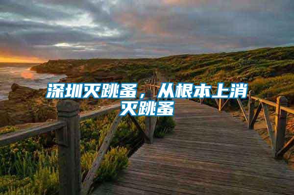 深圳滅跳蚤，從根本上消滅跳蚤