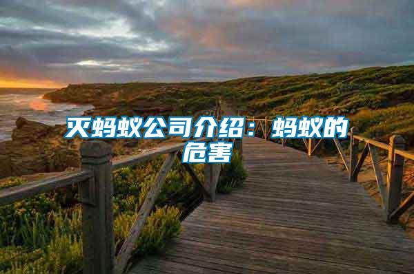 滅螞蟻公司介紹:螞蟻的危害