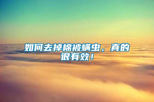 如何去掉棉被螨蟲,真的很有效!