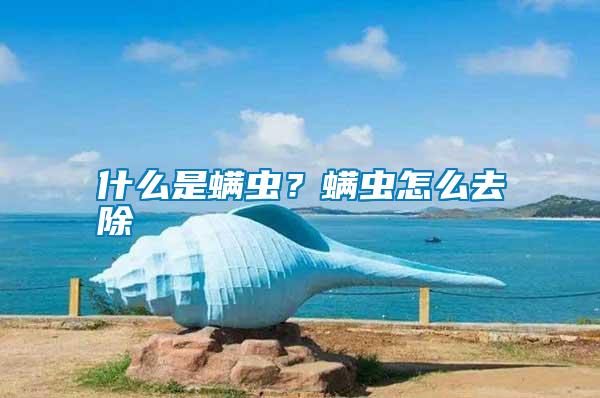 什么是螨蟲?螨蟲怎么去除