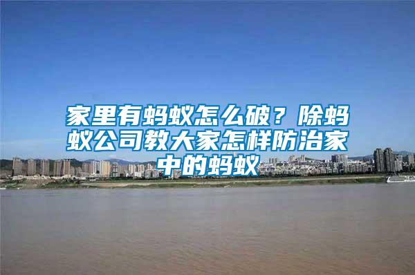家里有螞蟻怎么破?除螞蟻公司教大家怎樣防治家中的螞蟻