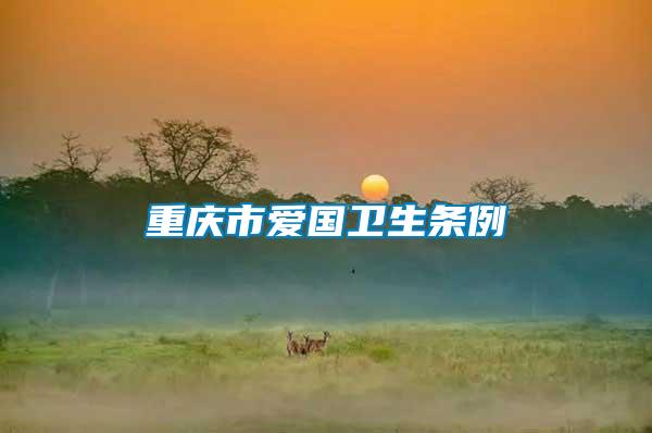 重慶市愛國衛生條例