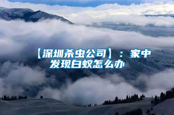 【深圳殺蟲公司】:家中發現白蟻怎么辦