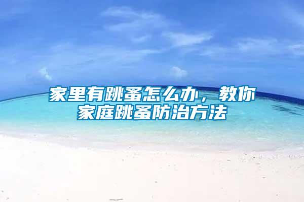 家里有跳蚤怎么辦,教你家庭跳蚤防治方法