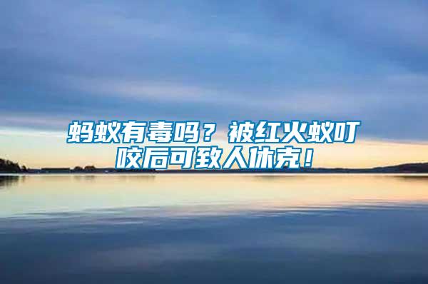 螞蟻有毒嗎？被紅火蟻叮咬后可致人休克！