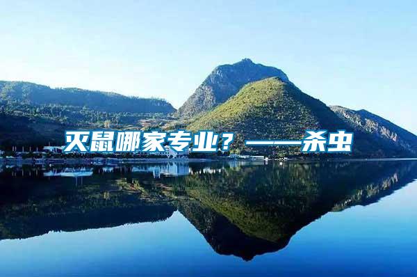 滅鼠哪家專業?——殺蟲