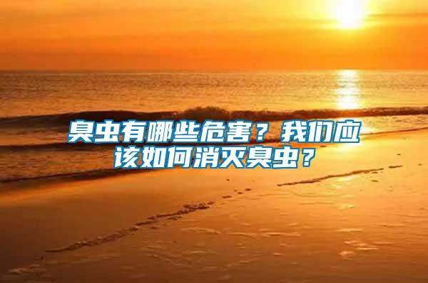 臭蟲有哪些危害?我們應(yīng)該如何消滅臭蟲?