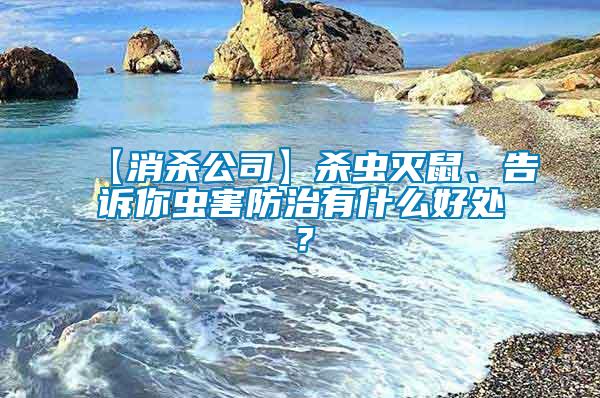 【消殺公司】殺蟲滅鼠、告訴你蟲害防治有什么好處?