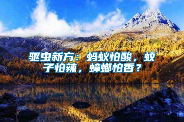 驅蟲新方：螞蟻怕酸，蚊子怕辣，蟑螂怕香？