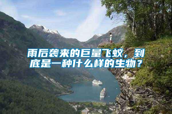 雨后襲來的巨量飛蟻，到底是一種什么樣的生物？