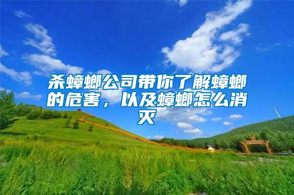 殺蟑螂公司帶你了解蟑螂的危害,以及蟑螂怎么消滅