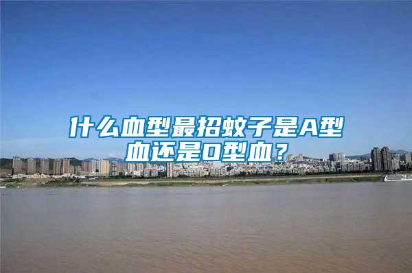 什么血型最招蚊子是A型血還是O型血?