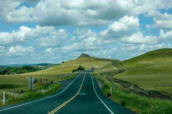 蟑螂的危害有哪些?滅蟑螂公司告訴您!