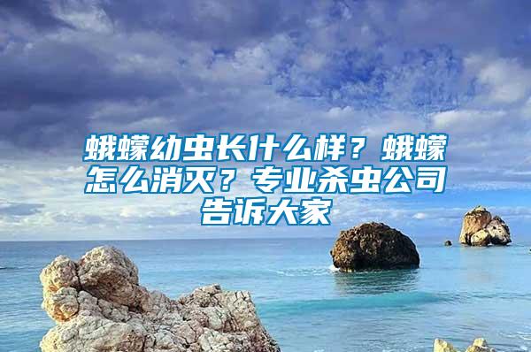 蛾蠓幼蟲(chóng)長(zhǎng)什么樣?蛾蠓怎么消滅?專業(yè)殺蟲(chóng)公司告訴大家