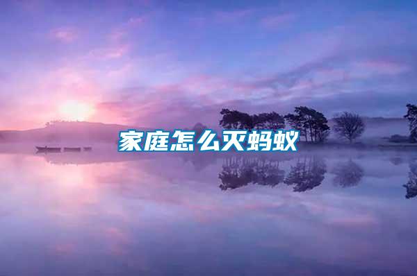 家庭怎么滅螞蟻