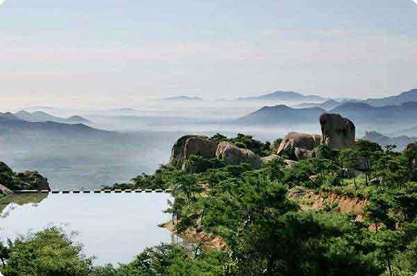 家里有跳蚤怎么辦?消殺公司教大家跳蚤怎么消滅