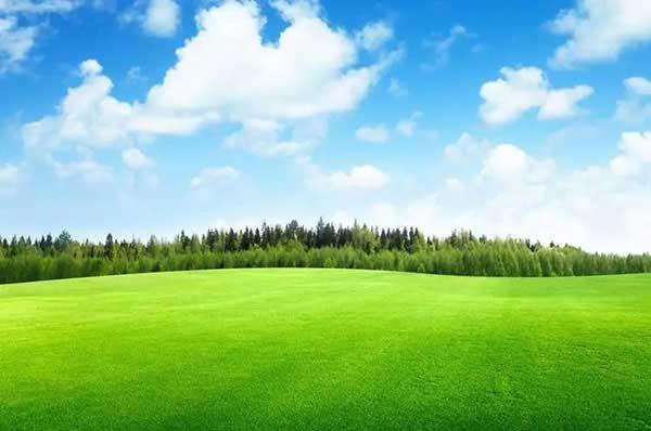 【殺蟲公司】如何滅蟑螂?介紹關于蟑螂的那些事兒!