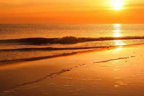 如何對深圳殺蟲公司收費(fèi)進(jìn)行了解