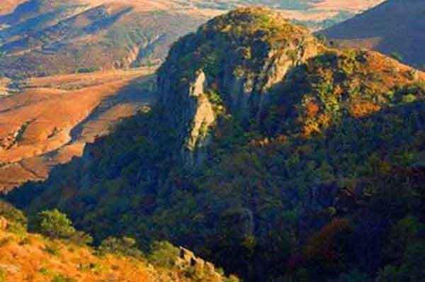 盤式電蚊香的危害有多大您知道嗎？告訴您