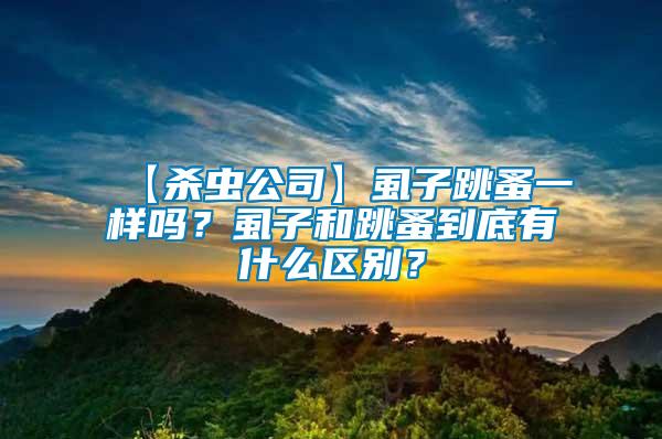 【殺蟲公司】虱子跳蚤一樣嗎？虱子和跳蚤到底有什么區(qū)別？