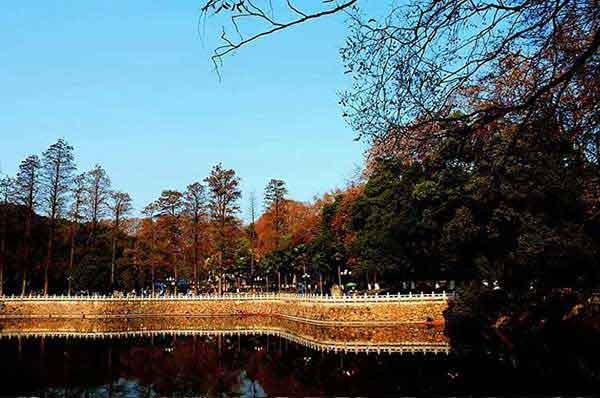 簡述深圳滅跳蚤的常用方法!